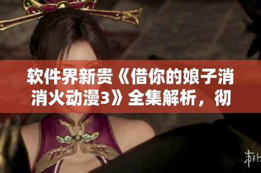 软件界新贵《借你的娘子消消火动漫3》全集解析，彻底掌握软件设计精髓