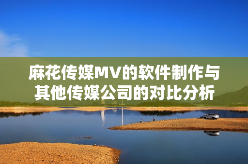 麻花传媒MV的软件制作与其他传媒公司的对比分析