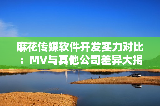 麻花传媒软件开发实力对比：MV与其他公司差异大揭秘