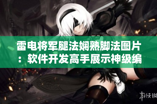 雷电将军腿法娴熟脚法图片：软件开发高手展示神级编程技巧
