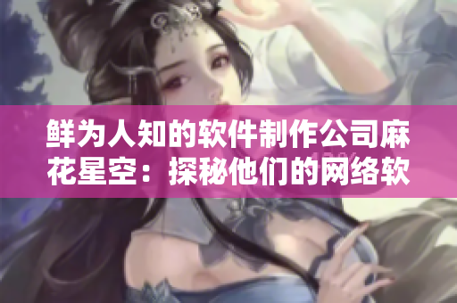 鲜为人知的软件制作公司麻花星空：探秘他们的网络软件开发技巧