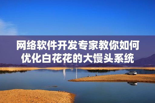 网络软件开发专家教你如何优化白花花的大馒头系统