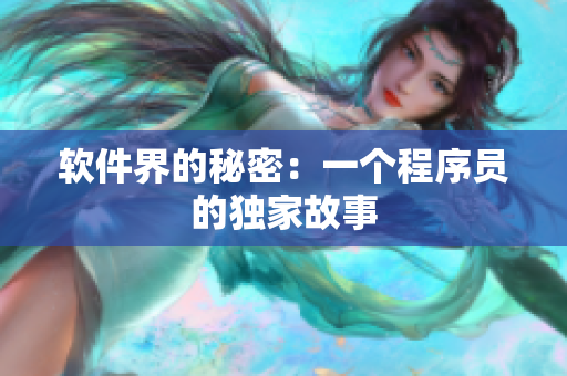 软件界的秘密：一个程序员的独家故事