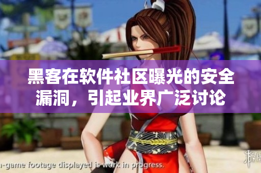 黑客在软件社区曝光的安全漏洞，引起业界广泛讨论