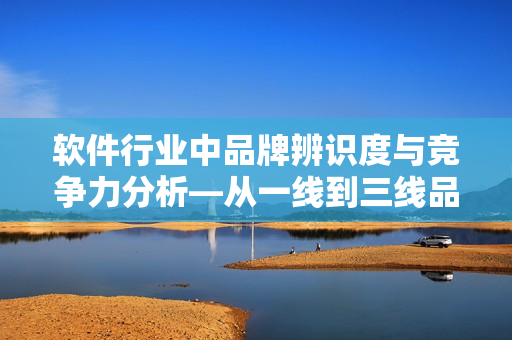 软件行业中品牌辨识度与竞争力分析—从一线到三线品牌的对比