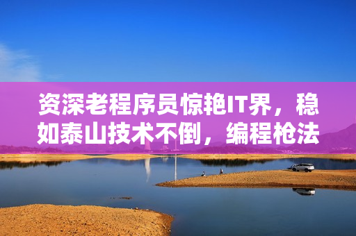 资深老程序员惊艳IT界，稳如泰山技术不倒，编程枪法准确无误