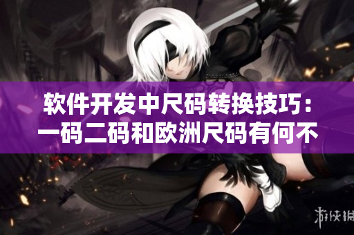 软件开发中尺码转换技巧：一码二码和欧洲尺码有何不同？