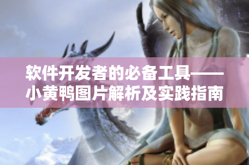软件开发者的必备工具——小黄鸭图片解析及实践指南