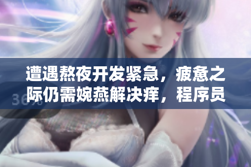 遭遇熬夜开发紧急，疲惫之际仍需婉燕解决痒，程序员心事总安好