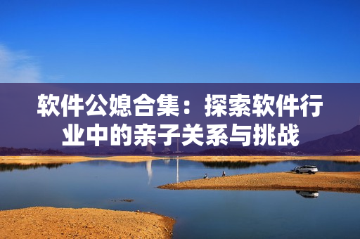 软件公媳合集：探索软件行业中的亲子关系与挑战