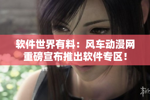 软件世界有料：风车动漫网重磅宣布推出软件专区！