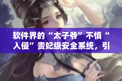 软件界的“太子爷”不慎“入侵”贵妃级安全系统，引发全网关注