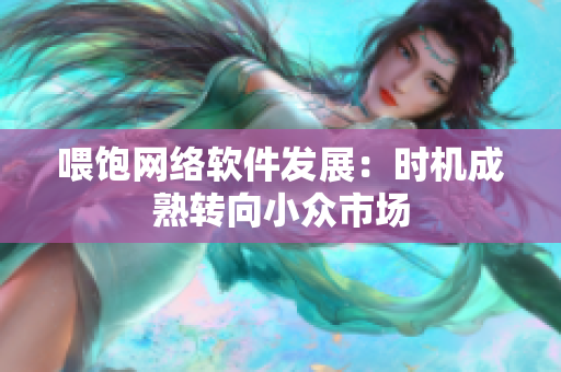 喂饱网络软件发展：时机成熟转向小众市场