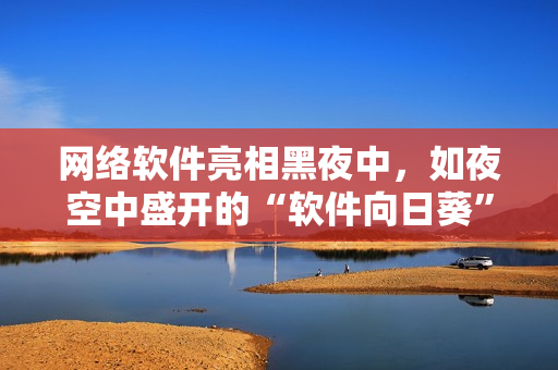 网络软件亮相黑夜中，如夜空中盛开的“软件向日葵”