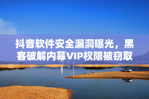 抖音软件安全漏洞曝光，黑客破解内幕VIP权限被窃取