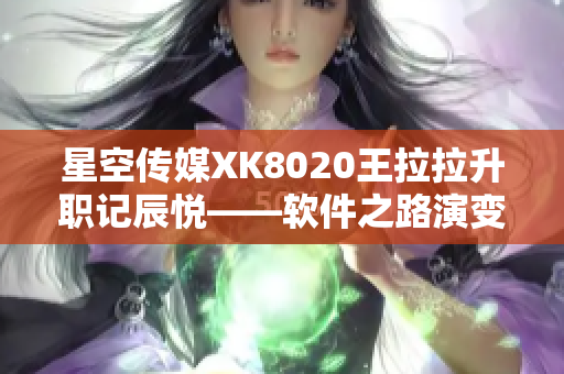 星空传媒XK8020王拉拉升职记辰悦——软件之路演变记