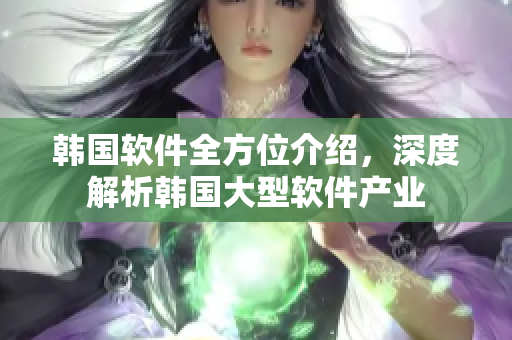 韩国软件全方位介绍，深度解析韩国大型软件产业