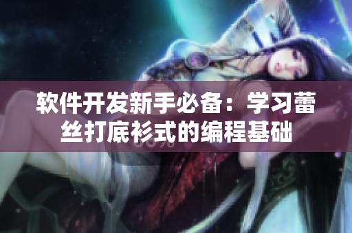 软件开发新手必备：学习蕾丝打底衫式的编程基础