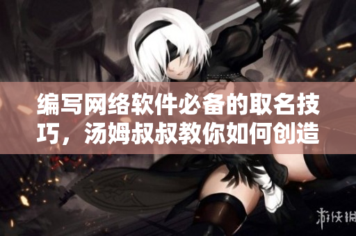 编写网络软件必备的取名技巧，汤姆叔叔教你如何创造有创意的地域网名！