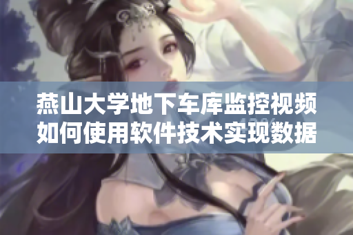 燕山大学地下车库监控视频如何使用软件技术实现数据分析与安全管理