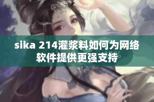 sika 214灌浆料如何为网络软件提供更强支持
