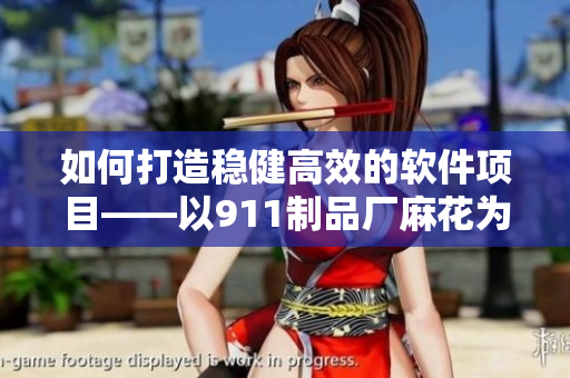 如何打造稳健高效的软件项目——以911制品厂麻花为例