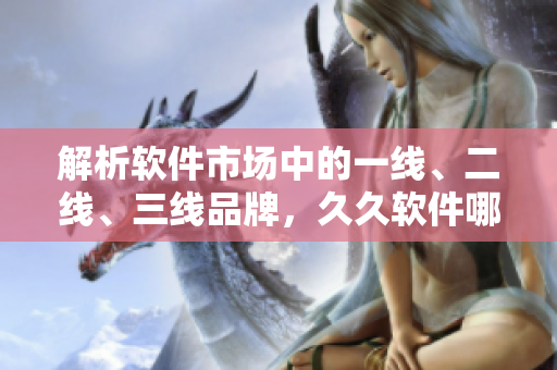 解析软件市场中的一线、二线、三线品牌，久久软件哪个排名先？
