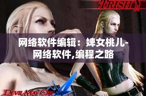 网络软件编辑：婢女桃儿-网络软件,编程之路