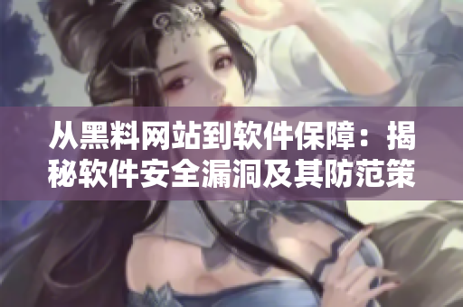 从黑料网站到软件保障：揭秘软件安全漏洞及其防范策略