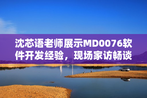 沈芯语老师展示MD0076软件开发经验，现场家访畅谈技术见解