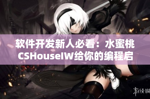 软件开发新人必看：水蜜桃CSHouseIW给你的编程启示