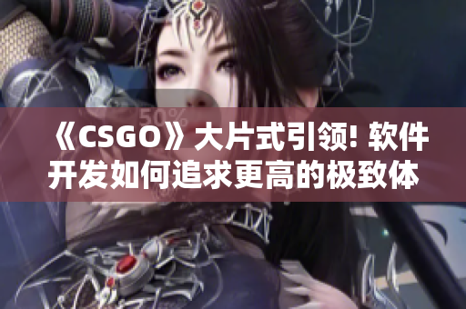 《CSGO》大片式引领! 软件开发如何追求更高的极致体验