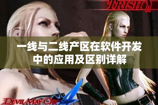 一线与二线产区在软件开发中的应用及区别详解