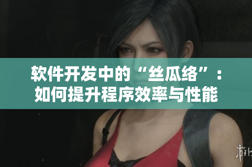 软件开发中的“丝瓜络”：如何提升程序效率与性能