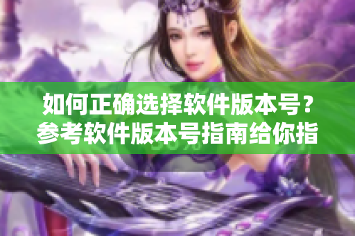 如何正确选择软件版本号？参考软件版本号指南给你指点迷津