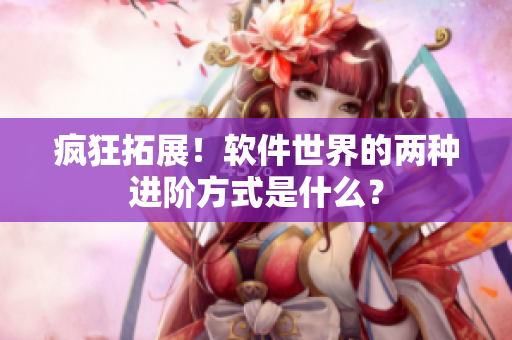 疯狂拓展！软件世界的两种进阶方式是什么？