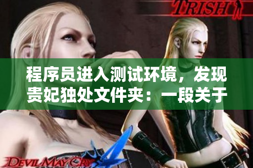 程序员进入测试环境，发现贵妃独处文件夹：一段关于网络安全的小说