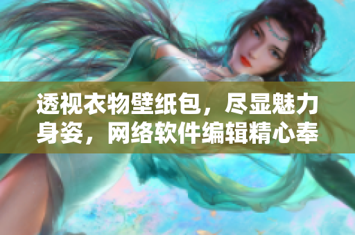 透视衣物壁纸包，尽显魅力身姿，网络软件编辑精心奉上