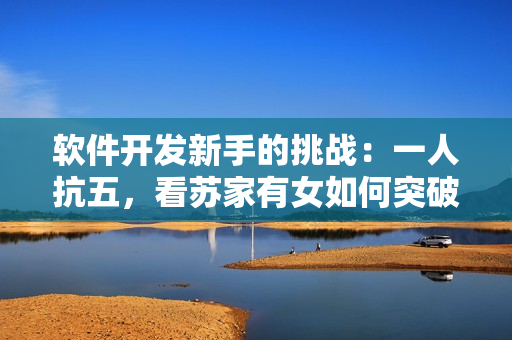 软件开发新手的挑战：一人抗五，看苏家有女如何突破困局