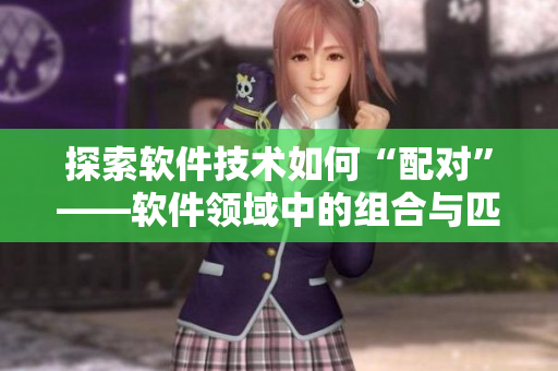 探索软件技术如何“配对”——软件领域中的组合与匹配方式