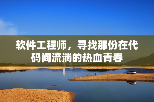 软件工程师，寻找那份在代码间流淌的热血青春