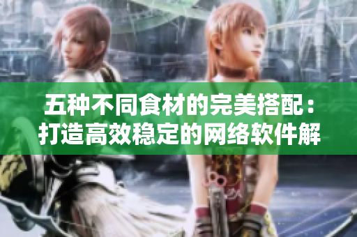 五种不同食材的完美搭配：打造高效稳定的网络软件解决方案