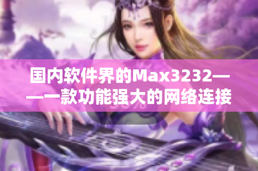 国内软件界的Max3232——一款功能强大的网络连接软件