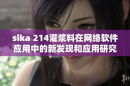 sika 214灌浆料在网络软件应用中的新发现和应用研究