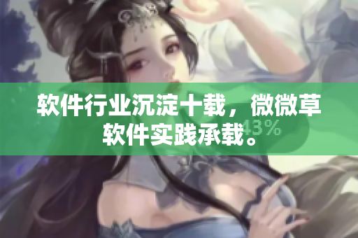 软件行业沉淀十载，微微草软件实践承载。