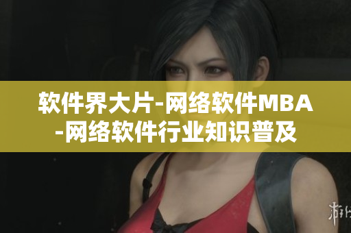 软件界大片-网络软件MBA-网络软件行业知识普及