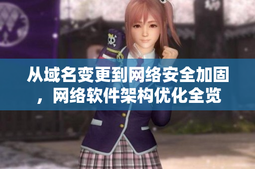 从域名变更到网络安全加固，网络软件架构优化全览