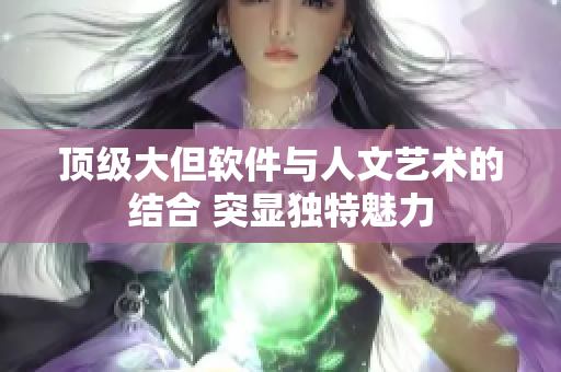 顶级大但软件与人文艺术的结合 突显独特魅力