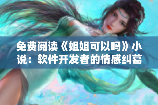 免费阅读《姐姐可以吗》小说：软件开发者的情感纠葛