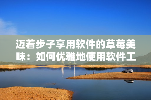 迈着步子享用软件的草莓美味：如何优雅地使用软件工具？